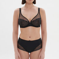 Delice Sheer Plunge Bra