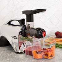 Premium Nutrition System Slow Juicer