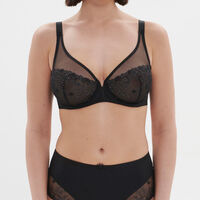 Delice Sheer Plunge Bra