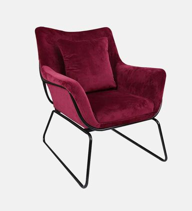 Velvet Steel Frame Arm Chair