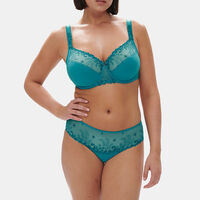 Delice Full Cup Support Bra