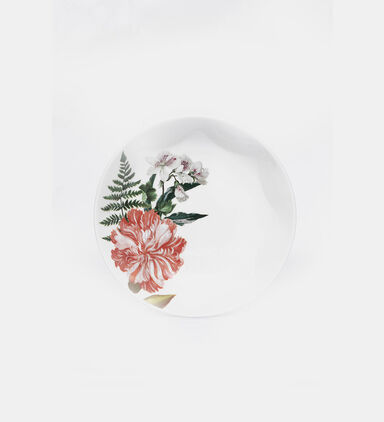 Gallery Porcelain Pasta Plate