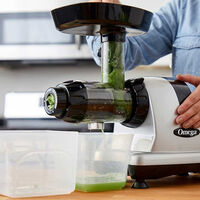 Low Speed Masticating Celery Juicer