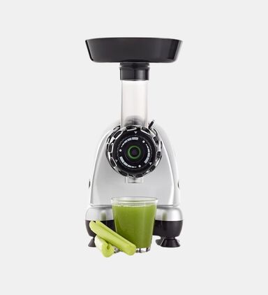 Low Speed Masticating Celery Juicer