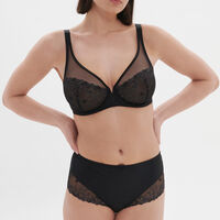 Delice Sheer Plunge Bra