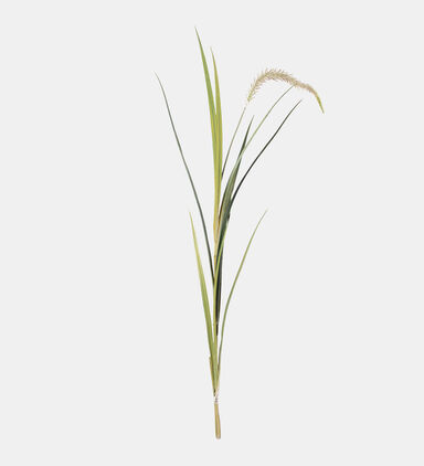 Festuca Spiga Faux Branch