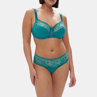 Delice Full Cup Support Bra