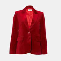 Viva Velvet Button-up Blazer