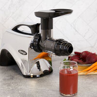 Premium Nutrition System Slow Juicer