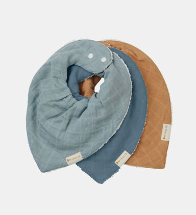 Organic 3-pack Bandana Bib - Blue Spruce