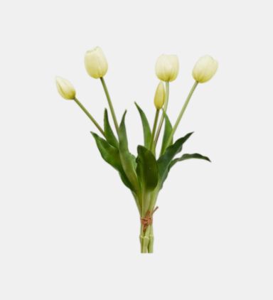 Tulipano Gomm Olis Faux Bunch