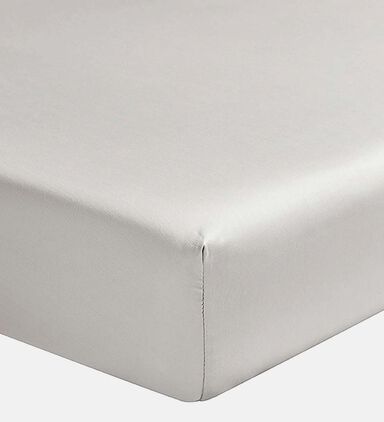 Ory Cotton Fitted Sheet