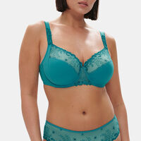 Delice Full Cup Support Bra