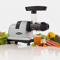 Low Speed Masticating Celery Juicer