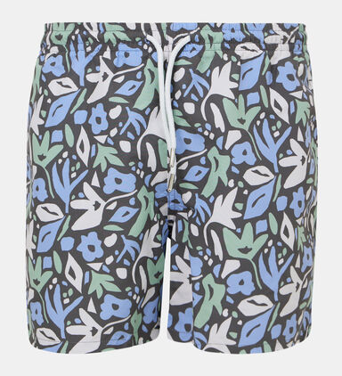 Swipri Bain-print Swim Shorts