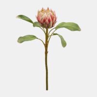 Protea Duke Ramo Faux Stem