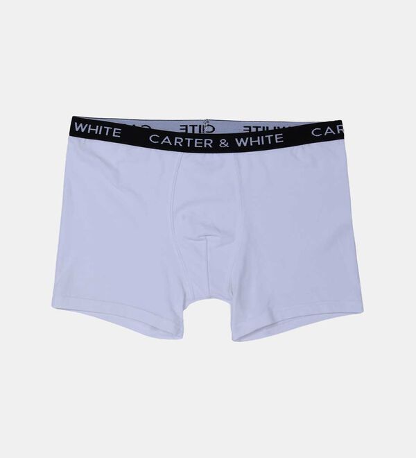 Carter's Underwear 
