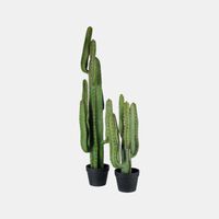 Long Plastic Cactus