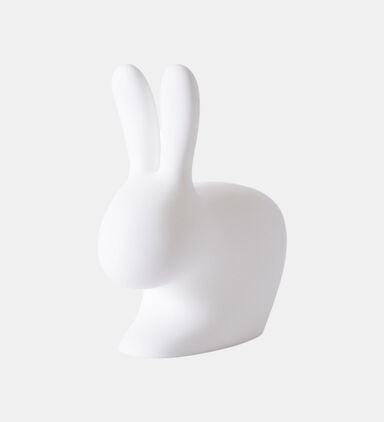 Rabbit Thermoplastic Chair