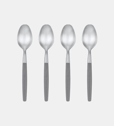 Stainless Steel Spoons 4-piece Set